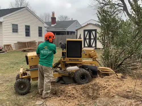 ewing stump grinding